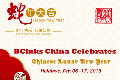 chinese lunar new year